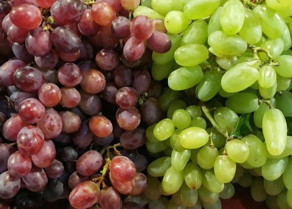 struguri rosii sau struguri verzi care au mai multi antioxidanti efect anticancer si antidiabet