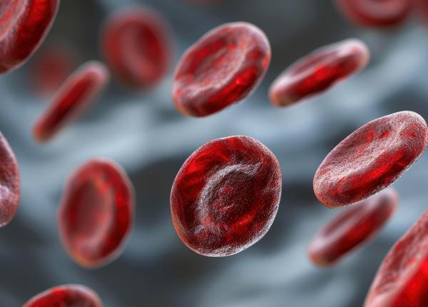 primul semn ca ai un cheag de sange in corp cum recunosti rapid cu ajutorul stop