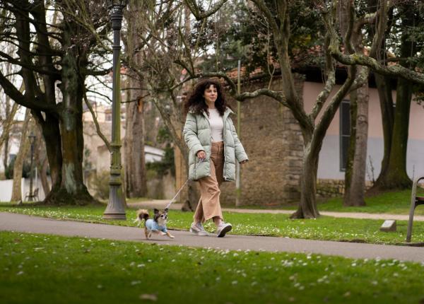 mitul celor 10 000 de pasi pe zi demontat de cercetari stiintifice