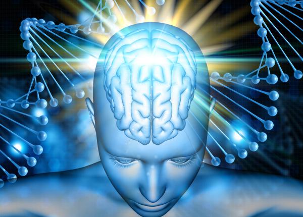 molecula somnului si proteina care apara creierul ce s a descoperit despre sirt6