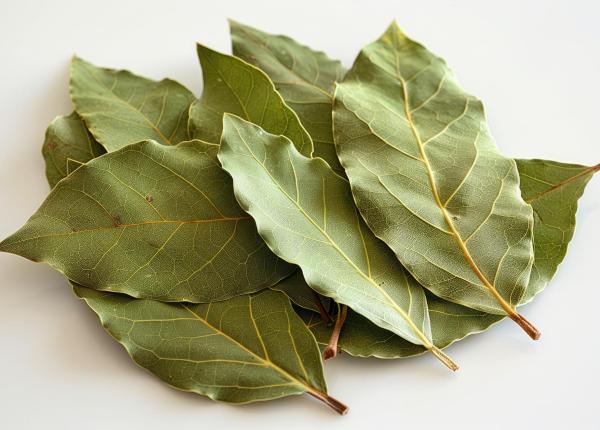 pune cateva frunze de dafin in dulap te vei indragosti de acest truc