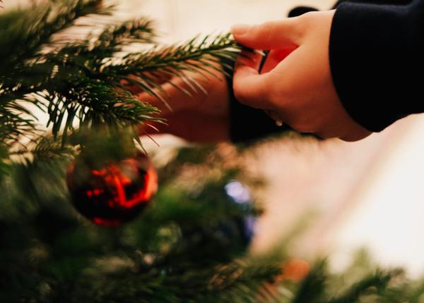 cand se despodobeste bradul de craciun traditii superstitii si explicatii