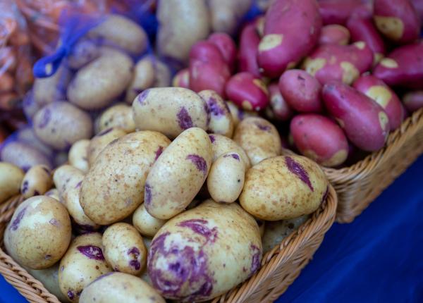 cartofii colorati superalimentele care pot reduce tensiunea inflamatia si glicemia