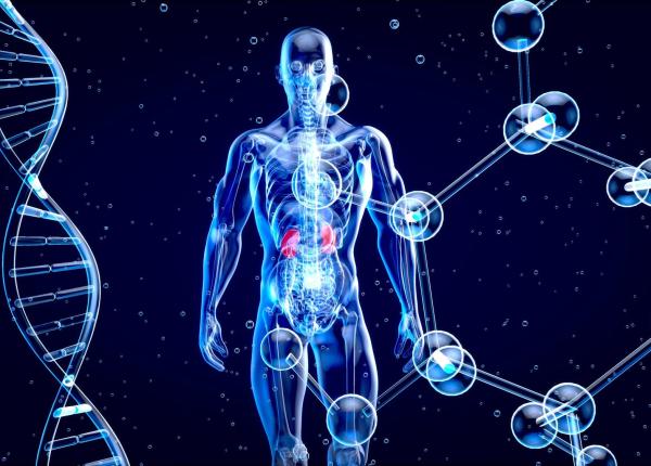 inflamatia alimenteaza unul din cele mai agresive tipuri de cancer sanse minime de supravietuire