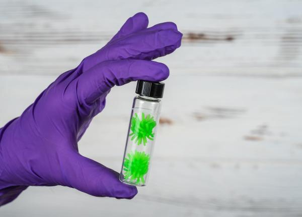 apare primul antidot autorizat pentru ricina toxina folosita in bioterorism scut sanitar european