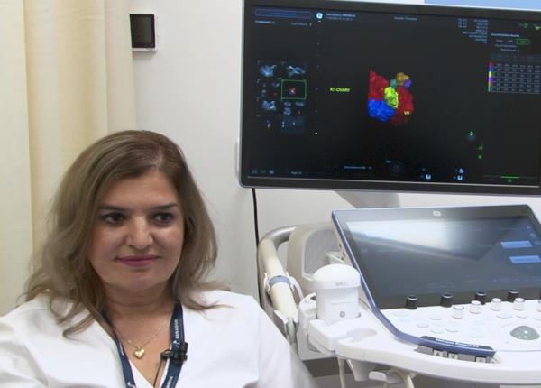 fertilizarea in vitro explicata de dr erna stoian sanador