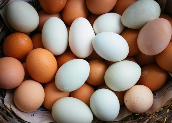 ouale din care sa nu faci niciodata maioneza stroescu dau o toxiinfectie groaznica mortala