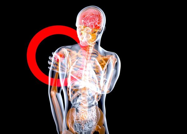 s a descoperit mecanismul cheie care ajuta organismul sa dezactiveze inflamatia