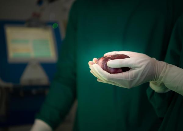 primul transplant de cord din romania in 2026 la targu mures un tanar de 19 ani era internat din octombrie