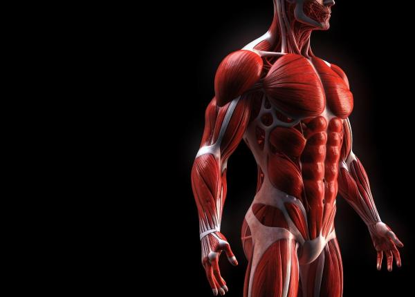 implantul care se alimenteaza din miscarea ta fara baterii fara cabluri fara a doua operatie