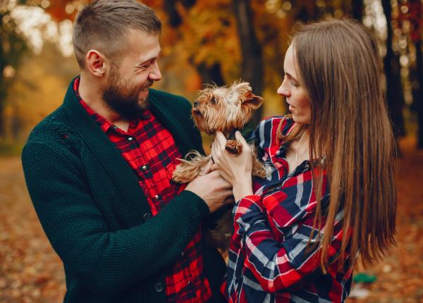 ce trebuie sa stii daca ai o catelusa