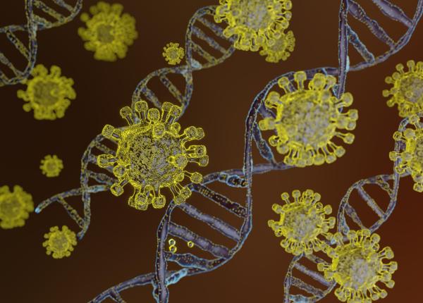 virusul nipah greu de detectat un expert explica are perioada lunga de incubatie