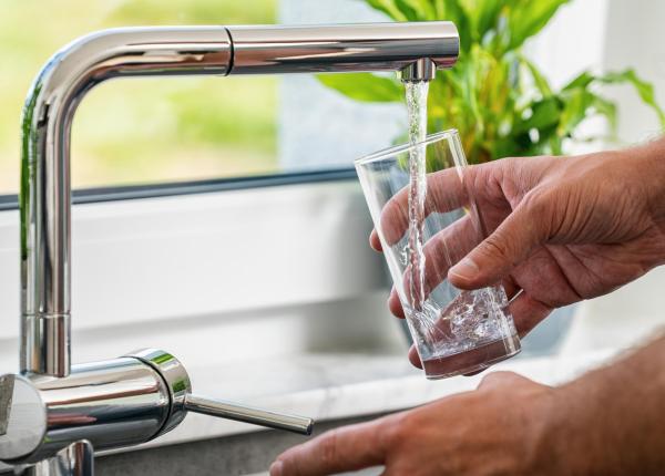 clostridium perfringers in apa din curtea de arges