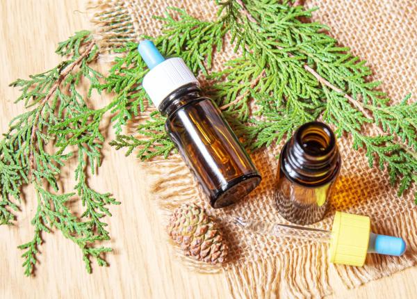 uleiul esential care curata aerul e leac pentru piele si vergeturi si alunga raul