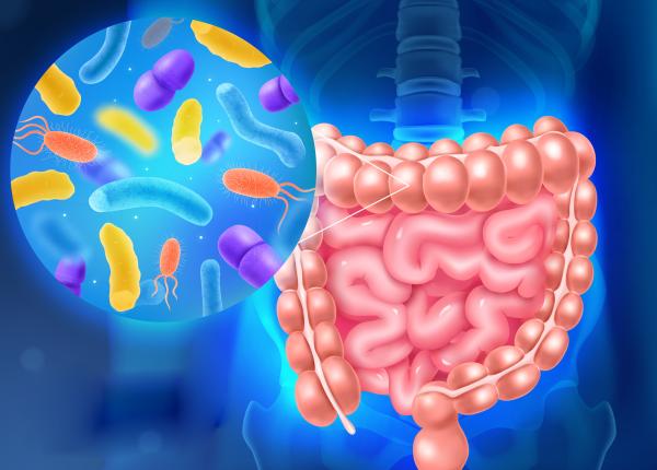 studiu bacteriile intestinale pot reduce anxietatea