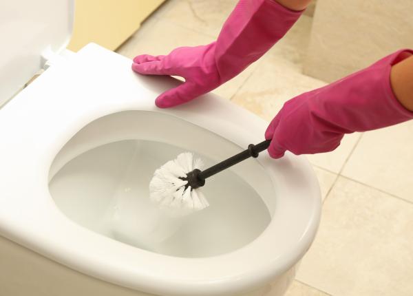 trucul natural pentru o toaleta curata rezultatele te vor surprinde