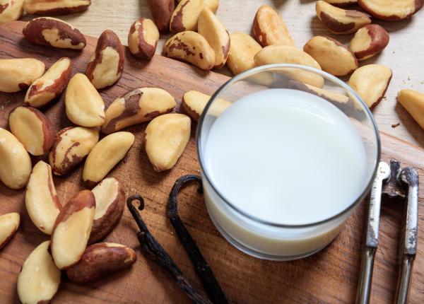 ce promite laptele de pecan noua alternativa la laptele clasic