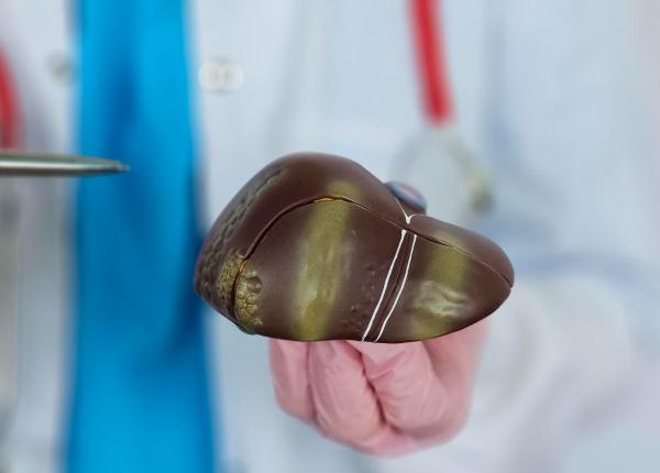 i c fundeni lanseaza campania ficat sanatos pentru inima sanatoasa