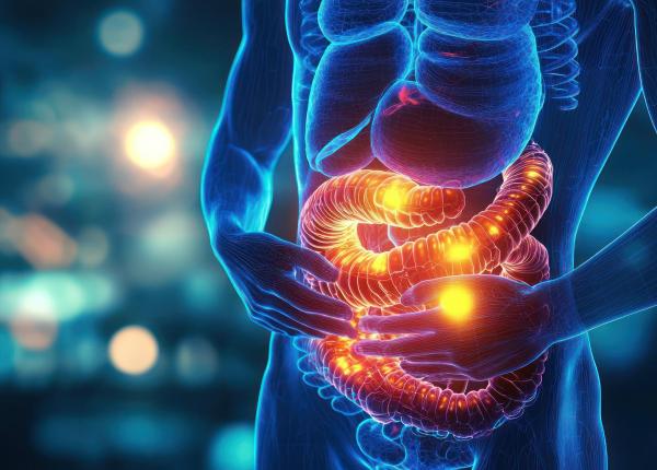 fructul care combate osteoporoza si cancerul de colon cum si cand sa consumi prune uscate