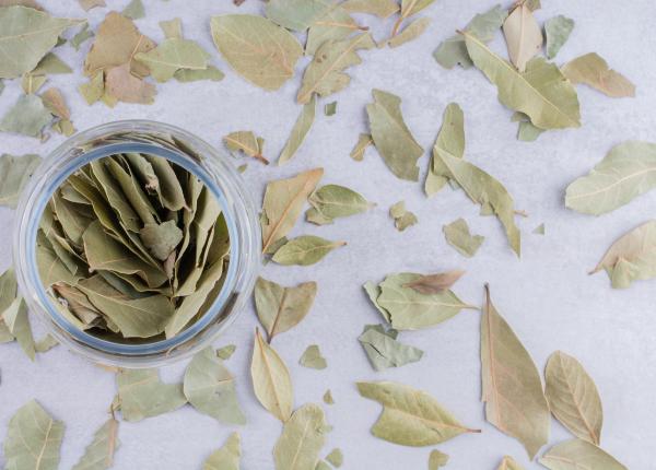 ce se intampla daca arzi frunze de dafin multi o fac dar putini stiu asta