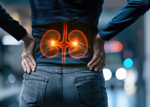 ce se intampla cand rinichii cedeaza semnele insuficientei renale