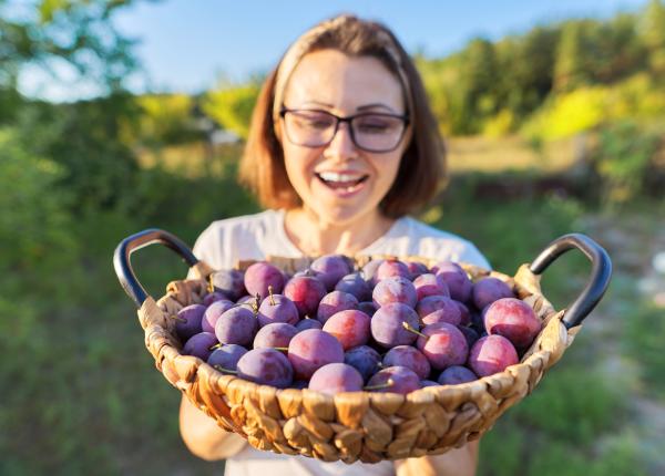secretul neasteptat pentru oase puternice