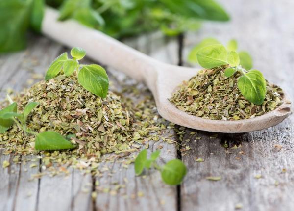 planta banala care are 5 beneficii puternice pentru sanatate distruge bacteriile si are efect anticancer