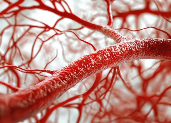 compusul produs de intestin care curata arterele ce trebuie sa stii daca mananci rodie