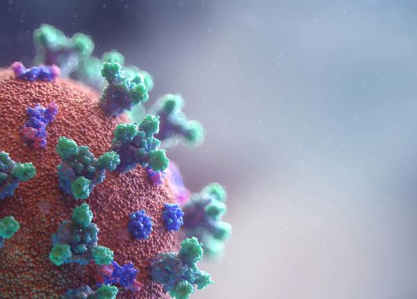 hantavirus avertismentul dr adrian marinescu dupa decesul a trei persoane pe un vas de croaziera