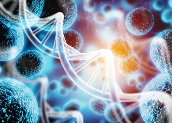 greseala banala care favorizeaza aparitia a cinci tipuri de cancer ce efect are circumferinta taliei
