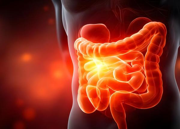 noi factori de risc pentru cancerul colorectal precoce obezitatea si antibioticele cresc incidenta