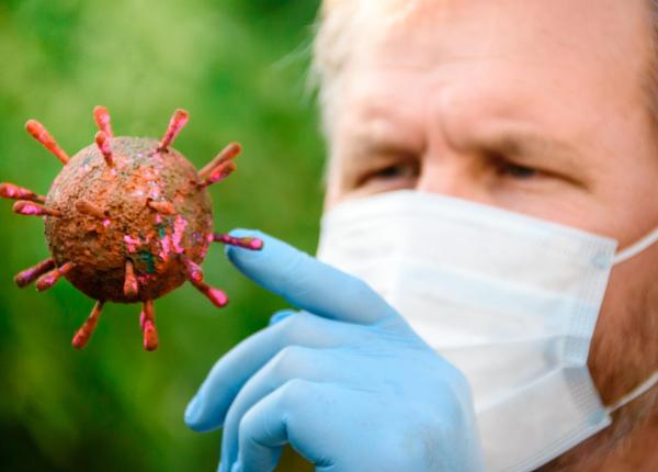 ce tulpina de hantavirus are pacientul de la stei rezultatele analizelor de la institutul cantacuzino