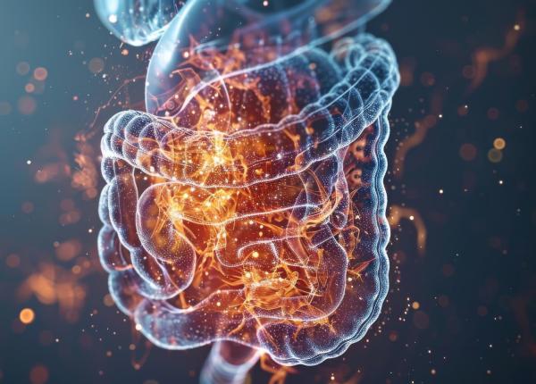 vitamina care calmeaza inflamatia intestinala noua descoperire a cercetatorilor de la mayo clinic