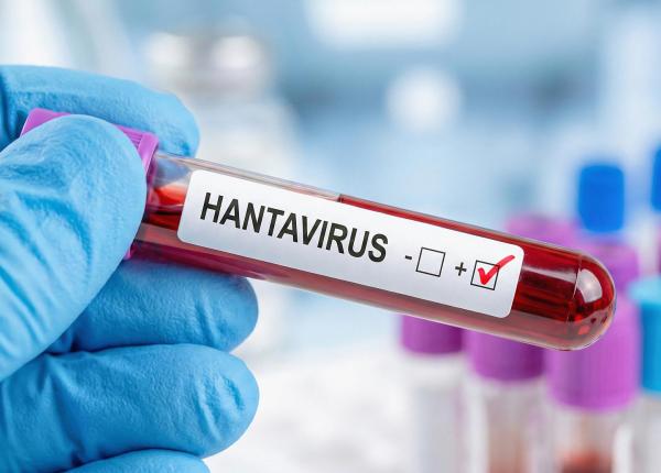 un nou caz de hantavirus confirmat in romania este al doilea in doua saptamani