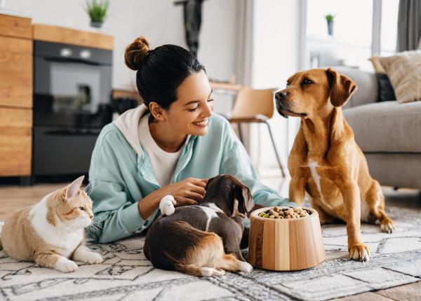 ai animale de companie prof dr codrut sarafoleanu recomandarea ar fi renuntarea la animalul de companie
