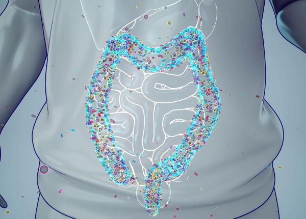 ce se intampla cand intestinul incepe sa scape toxine in sange un ingredient alimentar obisnuit ar putea fi solutia