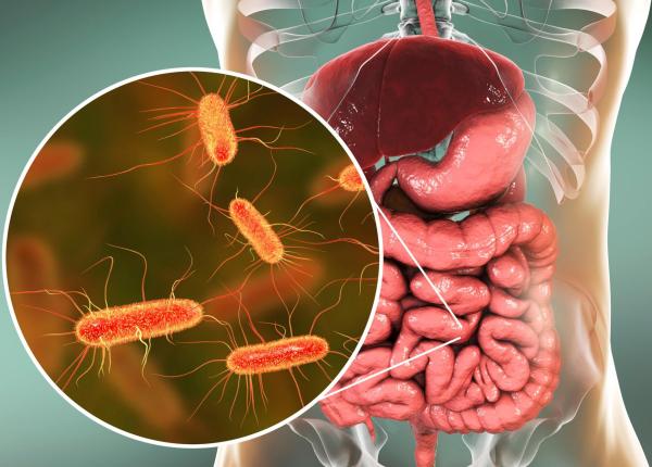 antibioticele pot lasa urme in intestin chiar si dupa 8 ani