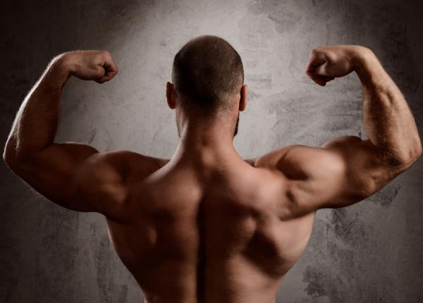 o bacterie hranita de fibre ar putea fi secretul masei musculare puternice