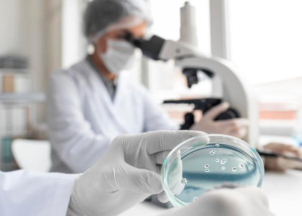 erbicidul care ar putea avea legatura cu superbacteriile rezistente la antibiotice