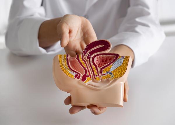 cancerul urologic in crestere in romania aproape jumatate dintre pacientii analizati la fundeni au avut tumori