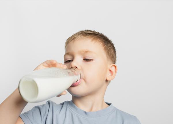 lapte de vaca vs lapte vegetal care este mai bun pentru sanatatea oaselor si absorbtia nutrientilor
