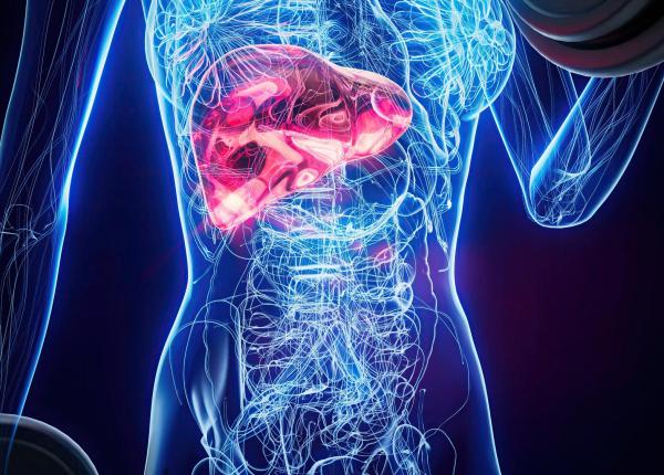 ai ficatul gras se poate rezolva si fara medicamente