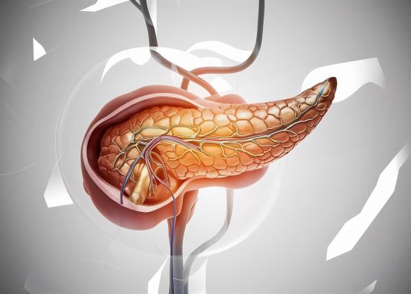 peste 60 dintre oameni au leziuni pre canceroase in pancreas