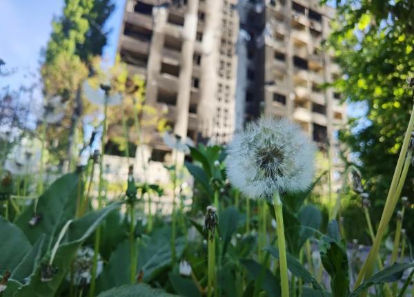prof dr codrut sarafoleanu despre capcanele climatice si urbane care extind sezonul alergiilor