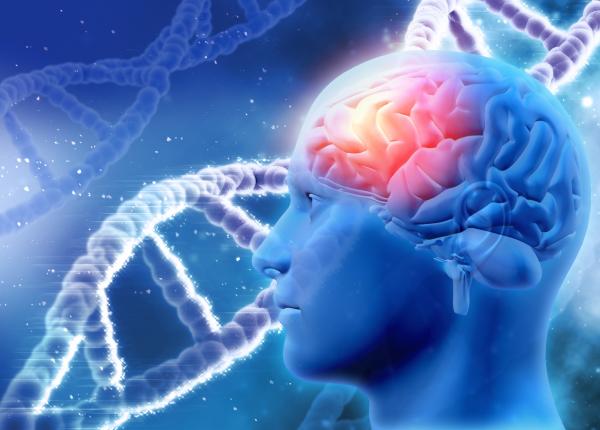 revolutie in tratamentul epilepsiei cercetatorii au descoperit o tinta ascunsa in creier