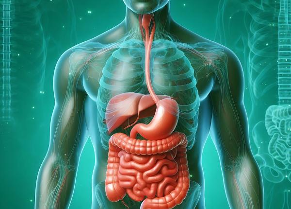 4 9 milioane de cazuri noi de cancer digestiv dr david marica dezvaluie analiza care opreste boala din fasa