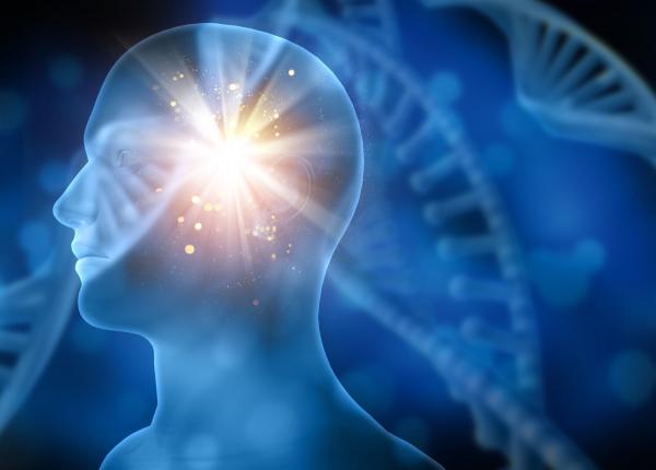 s a aflat ce opreste alzheimerul ce au gasit medicii in creierul unui pacient tratat