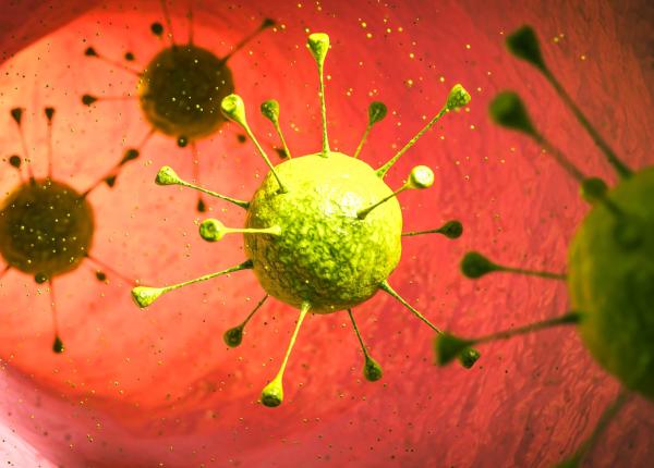 bacteriile programate genetic noua arma impotriva cancerului cercetatorii le invata sa gaseasca si sa atace doar tumorile