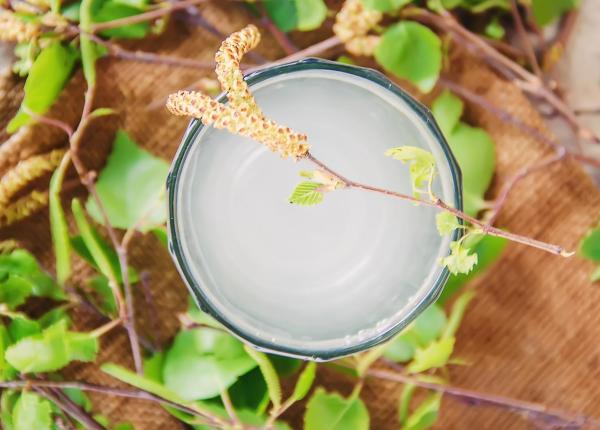cocktailul probiotic care ar putea preveni dementa