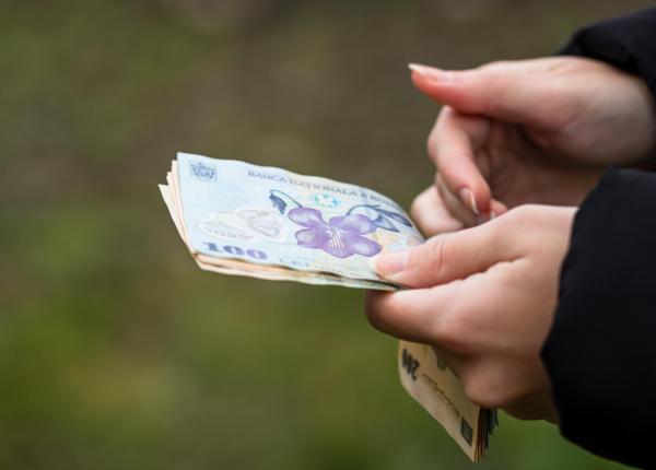 statul acorda un sprijin de 15 000 de lei cine poate depune cererea din 17 august